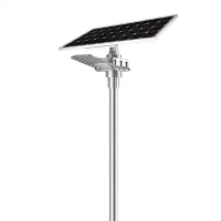 60w LED Hnub Ci Txoj Kev Teeb Sab nraum zoov